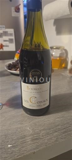 Thung lũng sông Loire Bourgueil Les Coteaux Không niên vụ