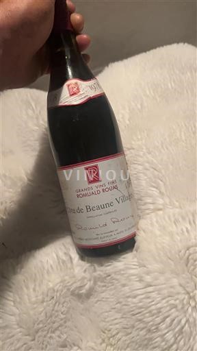 Borgogna Côte de Beaune Villages Ronald Rojas Senza annata