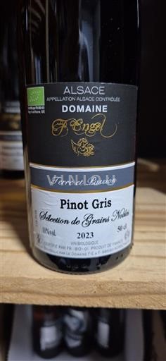 Alsace Engel Sélection de Grains Nobles 2023