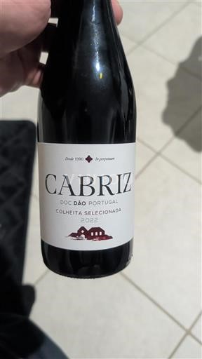 Portugal Dão. Cabriz Colheita Selecionada 2022