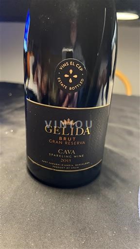 Catalonië Cava Vins El Cep Gran Reserva 2015