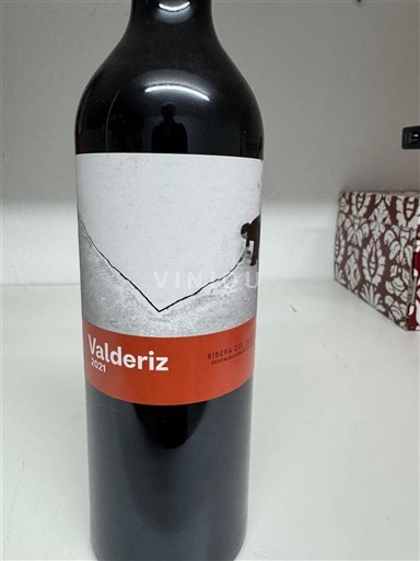Kastilien och León Ribera del Duero Valderiz 2021