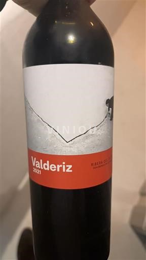 Castilië en León Ribera del Duero Valderiz 2021