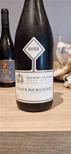 Bourgogne Coteaux bourguignons Domaine Gavignet Père & Fils 2022