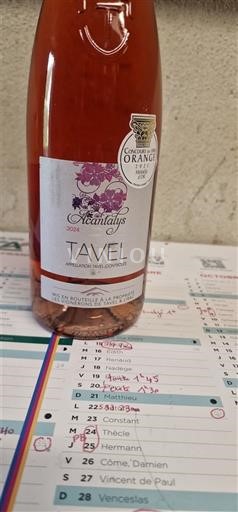 Rhône-dalen Tavel Chantailys 2022