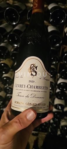 Bourgondië Gevrey-Chambertin Domaine Gérard Seguin Terroir du Domaine 2020