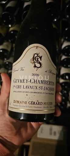 Bourgogne Premier Cru Domaine Gérard Seguin 1er Cru Lavaux St-Jacques 2020
