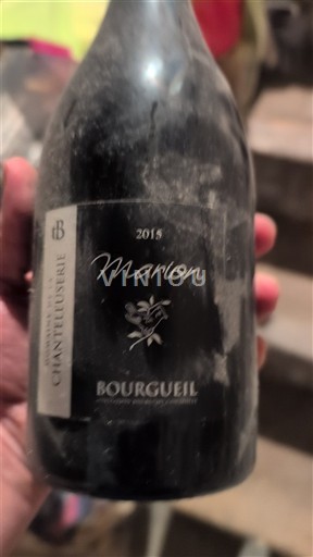 Loiren laakso Bourgueil Chanteloupère Marion 2015