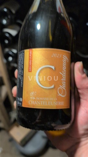 Loiredalen Ospecificerad Domaine La Chanteluserie Chardonnay 2021