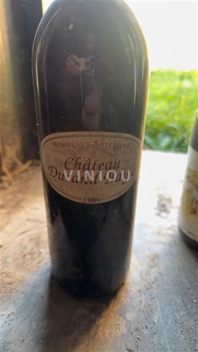 Bordéus Bordeaux Superior Château Durand Bayle 1989