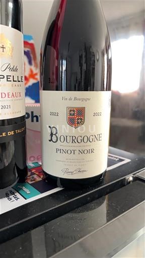 Burgundsko Bourgogne Pinot Noir 2022
