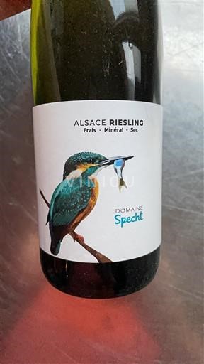 Alsacia Riesling Domaine Specht 2023