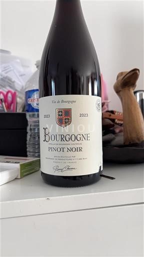 Burgundsko Roger Vuillien 2023