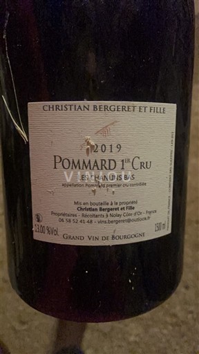 Bourgogne Ikke specificeret Premier Cru Christian Bergeret et Fille Les Chanlins Bas 2019