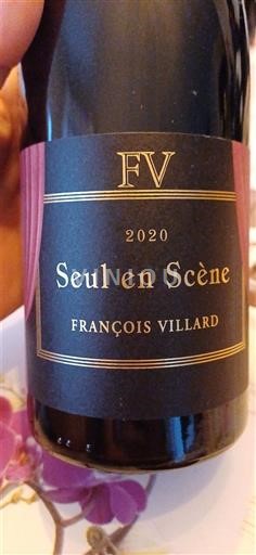 Alpes và các vùng Rhodanien Collines rhodaniennes François Villard Seul en Scène 2020