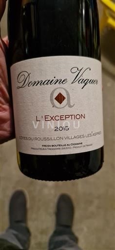 Roussillon Nespecifikováno Domaine Vaquer L'Exception 2015