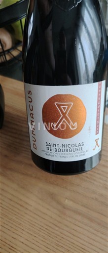 Valea Loarei Saint-Nicolas-De-Bourgueil Dumnacus Nemilésimat