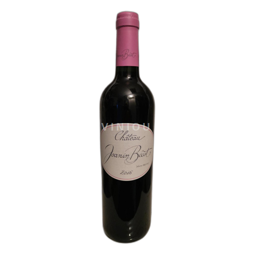 Bordeaux Castillon-côtes-de-bordeaux Château Joanin Bécot 2016