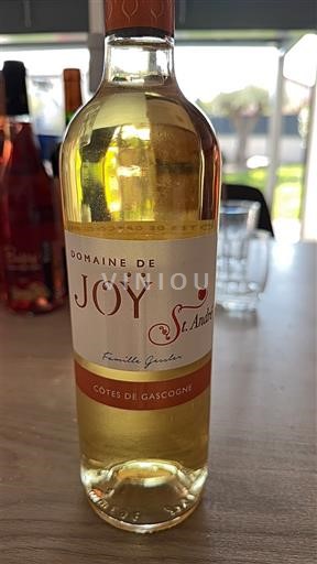 Sudoeste Côtes de Gascogne Domaine Joy Saint André 2019