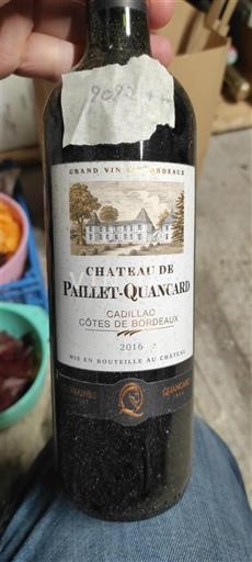 Bordeaux Cadillac-côtes-de-bordeaux Château de Paillet-Quancard 2016