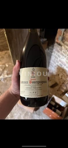 Borgoña Coteaux de Borgoña G.P.F 2022