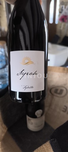 Languedoc-Roussillon Pays d'Oc Domaine L'Églantier Syrah 2020