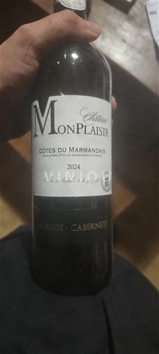 Tây Nam Côtes-du-marmandais Château Monplaisir 2024
