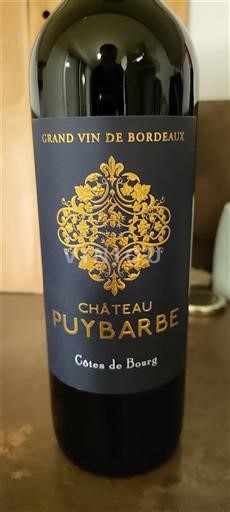 Bordeaux Côtes-de-bourg Château Puybarbe 2019