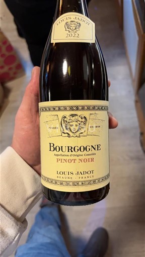 Burgundy Louis Jadot Pinot Noir 2022