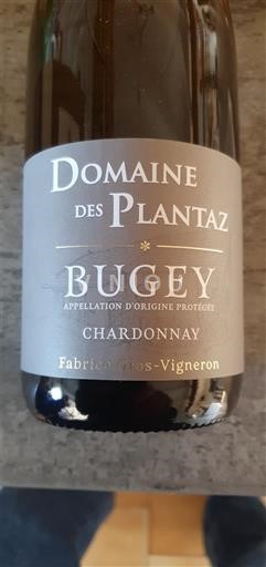 Saboya y Bugey Bugey Domaine Des Plantaz 2023 Sin añada