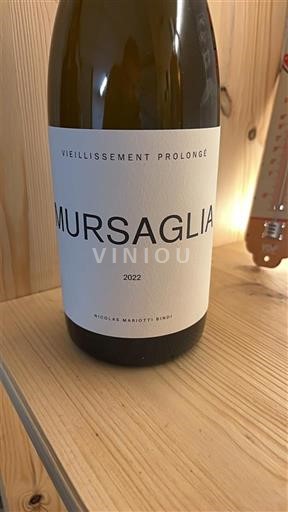 Córsega Património Nicolas Mariotti Bindi Mursaglia Vieillissement Prolongé 2022