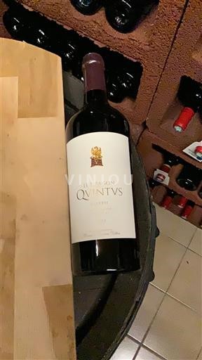 Bordeaux Saint-Émilion Le Dragon de Quintus 2022