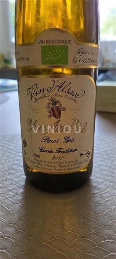 Alsace Yves Amberg Tradition 2017