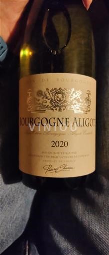 Borgoña Borgoña-Aligoté Domaine Pierre Chanau 2020