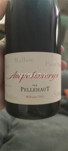 Jugozahod Côtes de Gascogne Pellehaut Ampelomeryx 2023