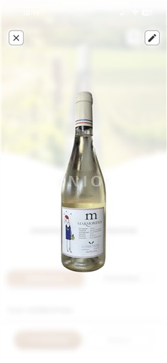 Jugozahod Côtes de Gascogne Marquebiau M de Marquebiau 2023