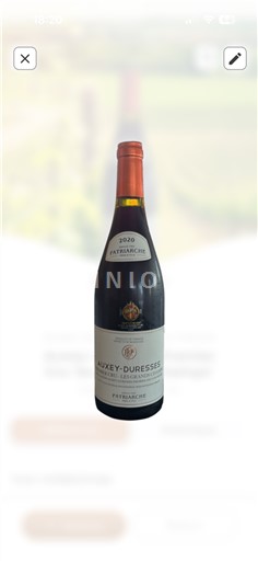 Burgundy Auxey-Duresses Premier Cru Patriarche Père & Fils Les Grands Champs 2020