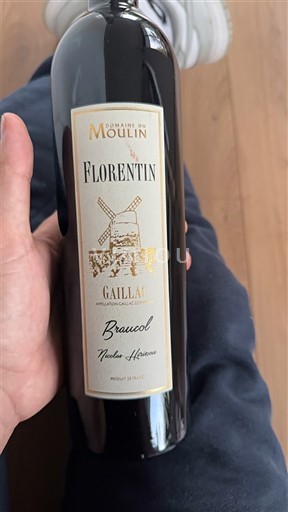 Sud-Ovest Gaillac Domaine Moulin Florentin 2018