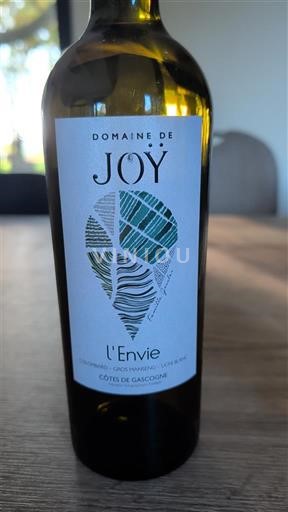 Sudoeste Côtes de Gascogne Domaine Joy L'Envie 2022
