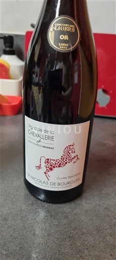 Thung lũng sông Loire Saint-Nicolas-De-Bourgueil Vignoble de la Chevalerie Tradition Không niên vụ