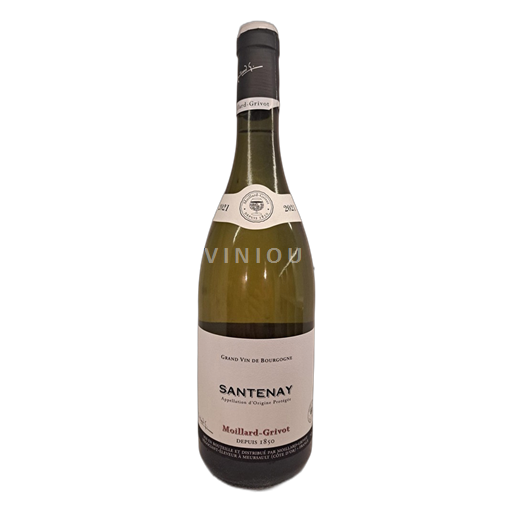 Borgoña Santenay - Maison Moillard Santenay 2021