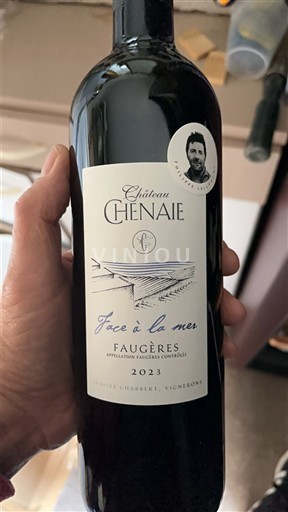 Langvedok Faugères Château Chenaie Face à la mer 2023