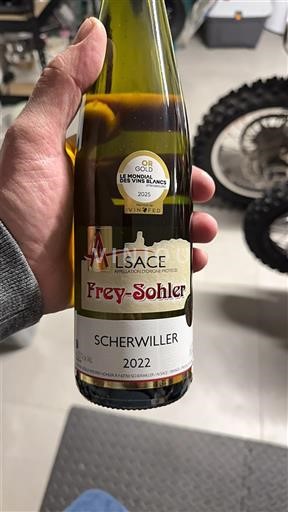 Alsace Không được chỉ định Frey-Sohler 2022