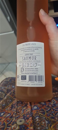 Loire-dalen Saumur Domaine Des Demoiselles La Vague 2023