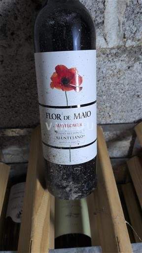 Alentejo Alentejano Mayflower Flor de Maio 2016
