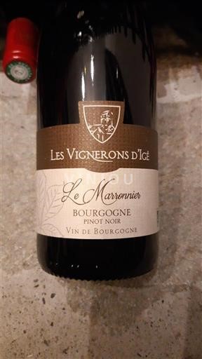 Burgundsko Les vignerons Igé Le Marronnier 2022