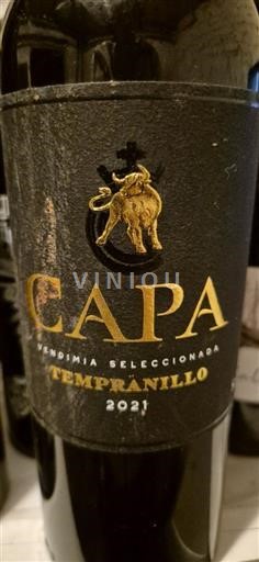 Castela-La Mancha Não especificado Capa Vendimia Seleccionada 2021