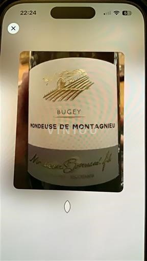Savoja in Bugey Bugey Maison Bonnard Mondeuse de Montagnieu 2023