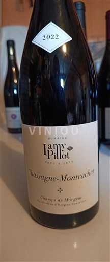 Bourgondië Chassagne-Montrachet Domaine Lamy-Pillot Champs de Morjot 2022