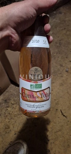 Lorena Côtes-de-toul Vincent Laroppe 2020